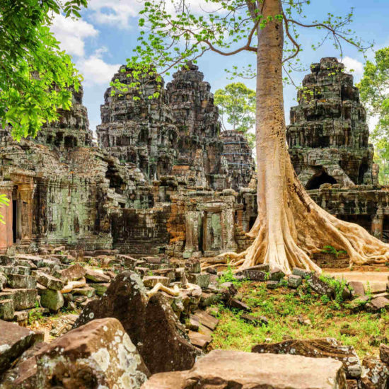 Ta Prohm Tempel Ankor Wat Kambodscha