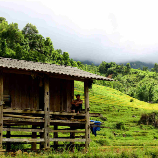 Go-Indochine cottage in rice paddy North Vietnam