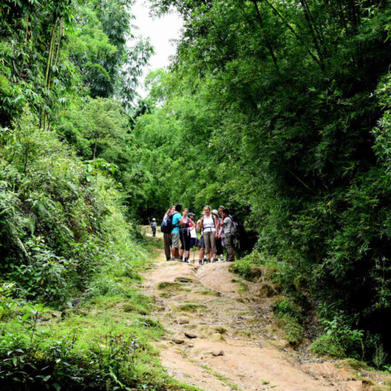 Go-Indochine Trekkingtour with Guide North Vietnam