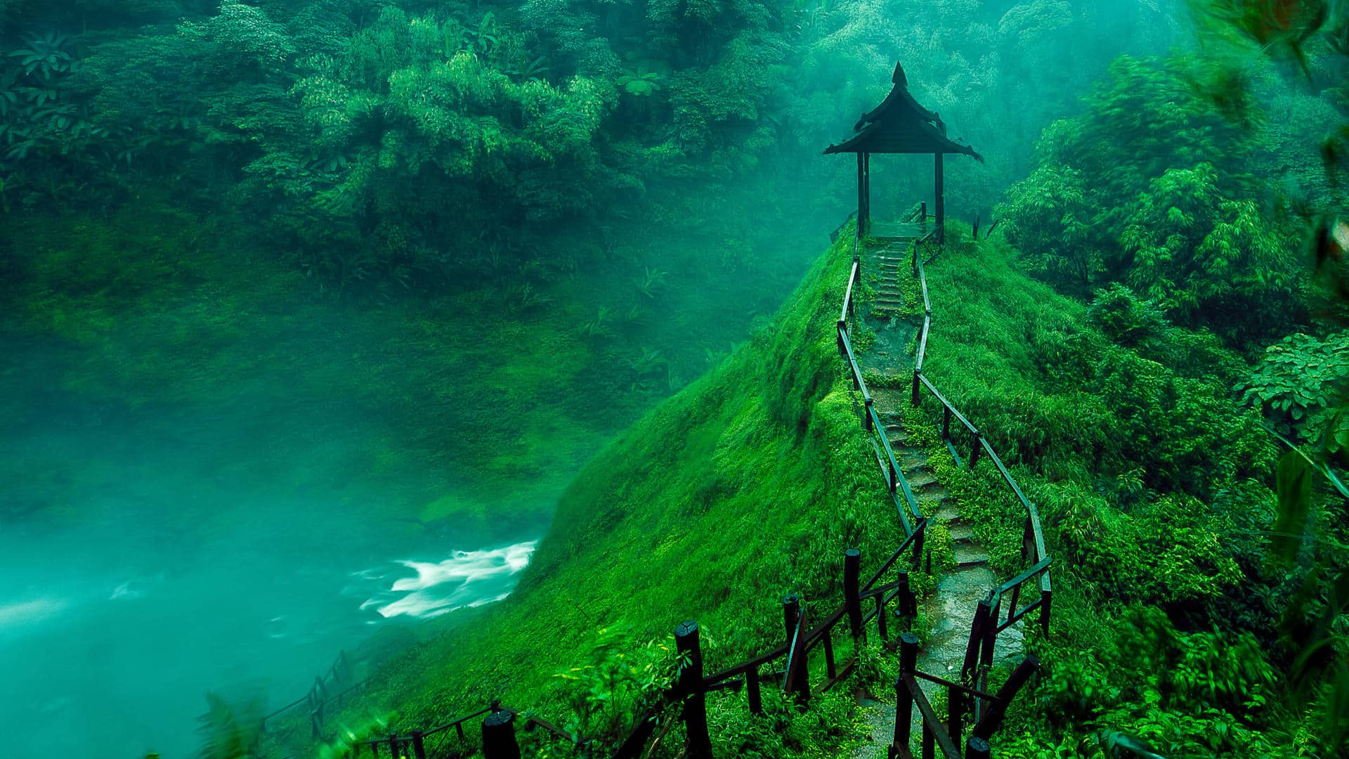 Laos Jungle with wooden path and river