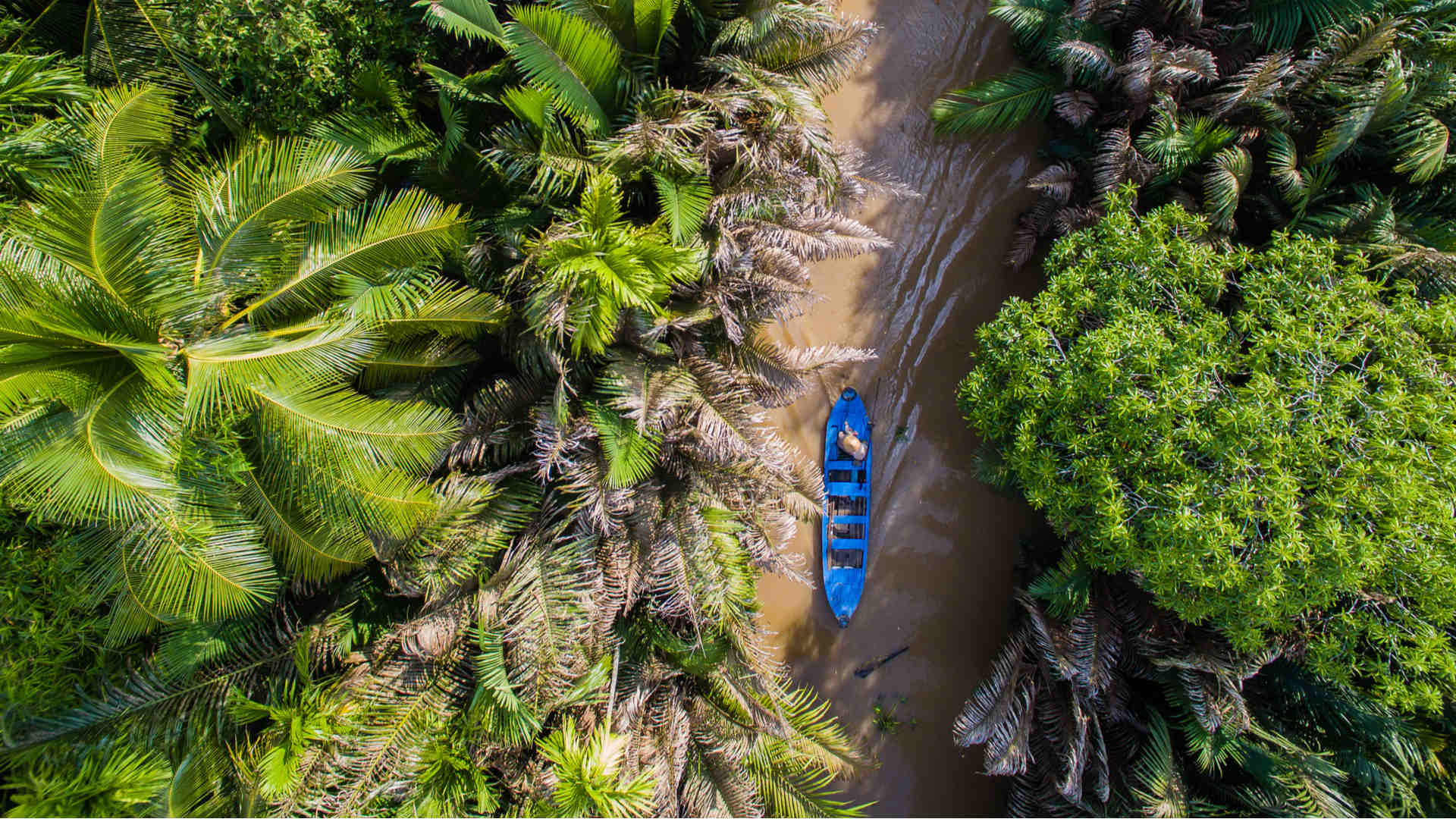 Mekong Delta fishing boat between palm trees